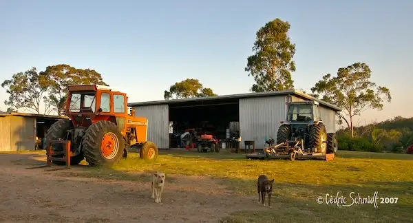 Fourth view of Homely rural property listing, 17 Maroolingar Road, Captain Creek QLD 4677