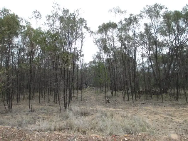 Second view of Homely rural property listing, LOT 83 WESTVALLEY ROAD, Tara QLD 4421