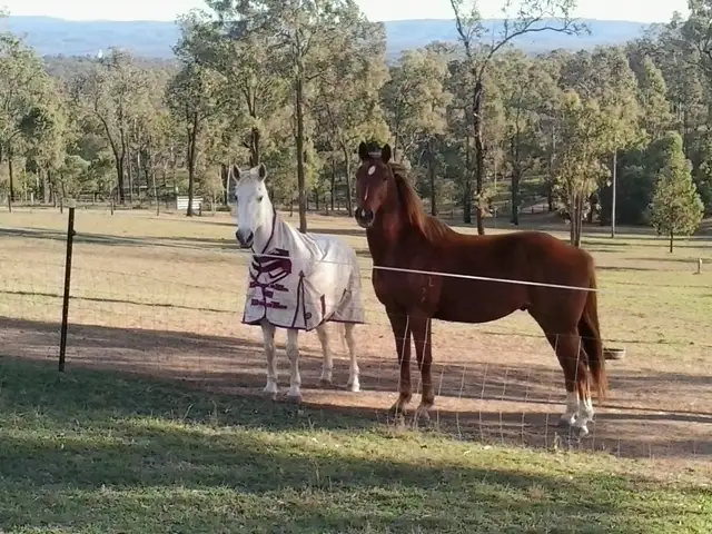 Sixth view of Homely rural property listing, 110 Edwards Road, Gatton QLD 4343