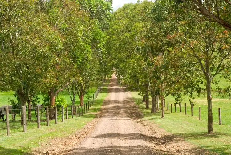 Third view of Homely house listing, 6 Fleetwood Road, Eumundi QLD 4562
