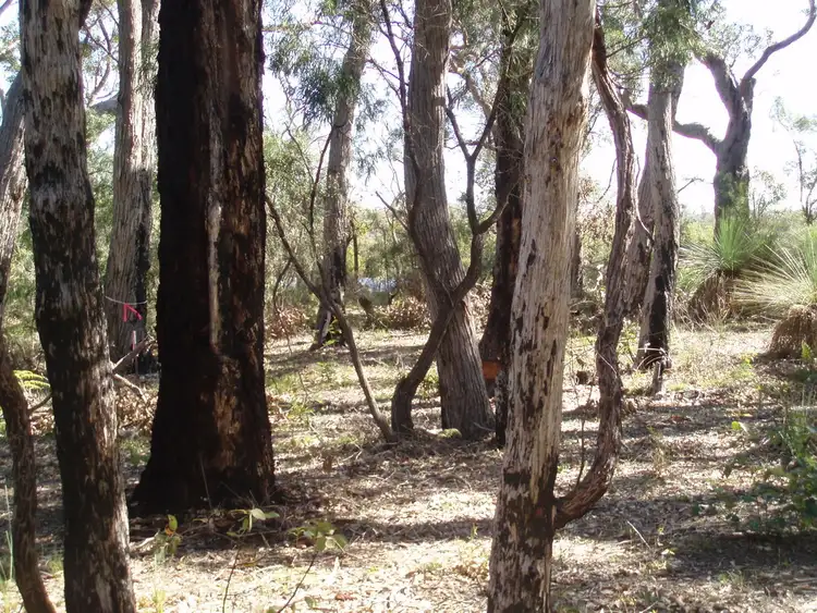 Fourth view of Homely land listing, 25 Flora Grove, Molloy Island WA 6290