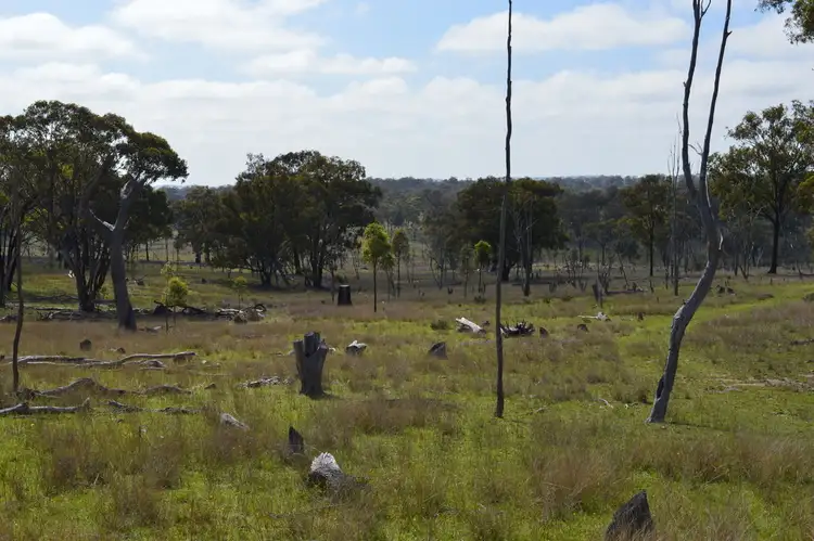 Seventh view of Homely rural property listing, Address available on request