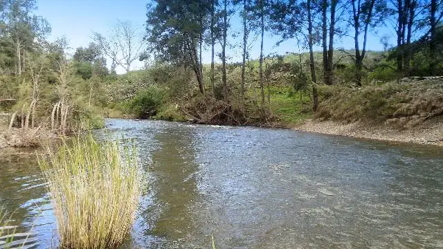 Second view of Homely rural property listing, 2030 Pipeclay Road, Pipeclay NSW 2446