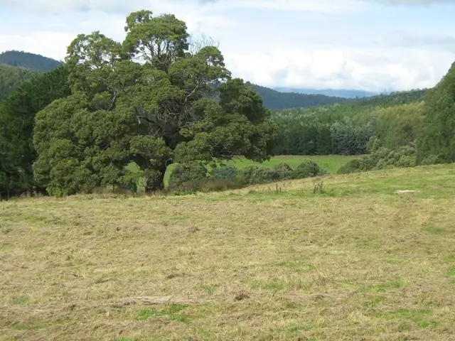 - Paradise Road, Sheffield TAS 7306