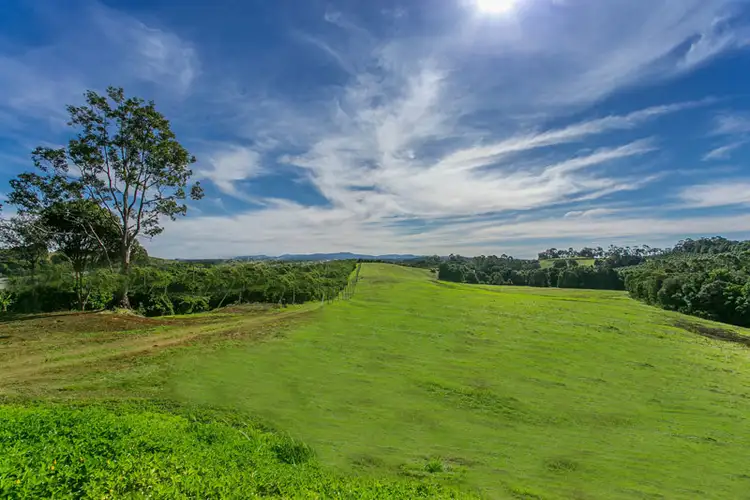 Fourth view of Homely rural property listing, 98 Rishworth Lane, Brooklet NSW 2479