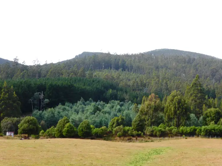 00 Abbotts Road, Maydena TAS 7140