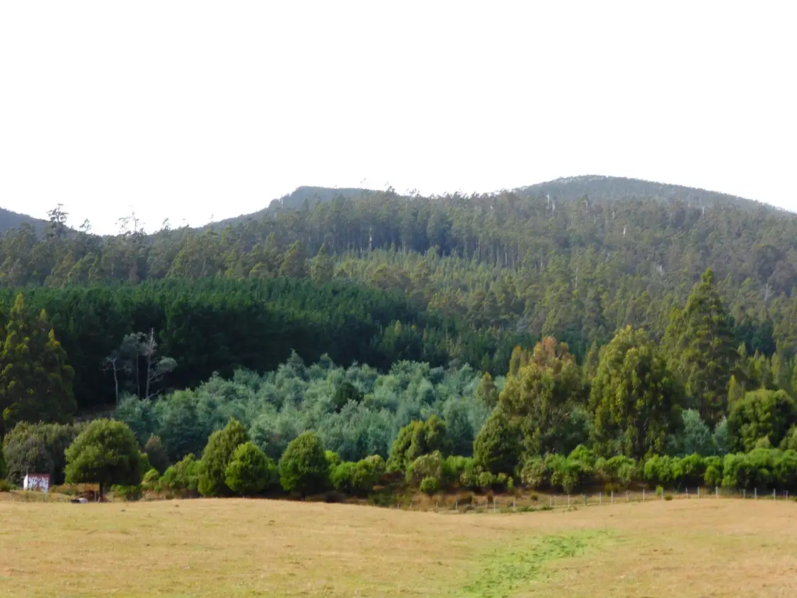 Main view of Homely land listing, 00 Abbotts Road, Maydena TAS 7140