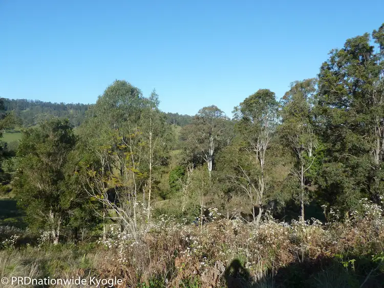Third view of Homely rural property listing, 697 Eden Creek Road, Kyogle NSW 2474