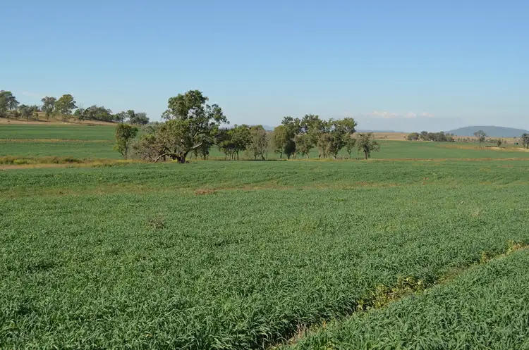 Sixth view of Homely rural property listing, 766 Umbiram Road, Umbiram QLD 4352
