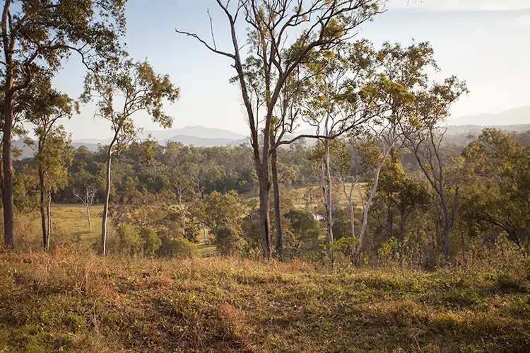 Seventh view of Homely rural property listing, 251 Bells Road, Palmyra QLD 4751