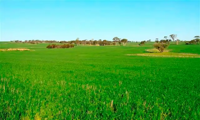 Main view of Homely rural property listing, Lot 5673 Hammonds Hill Road, Quairading WA 6383