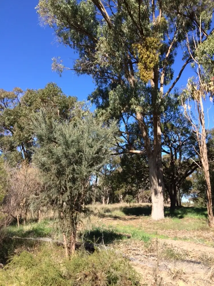 Fourth view of Homely land listing, Address available on request