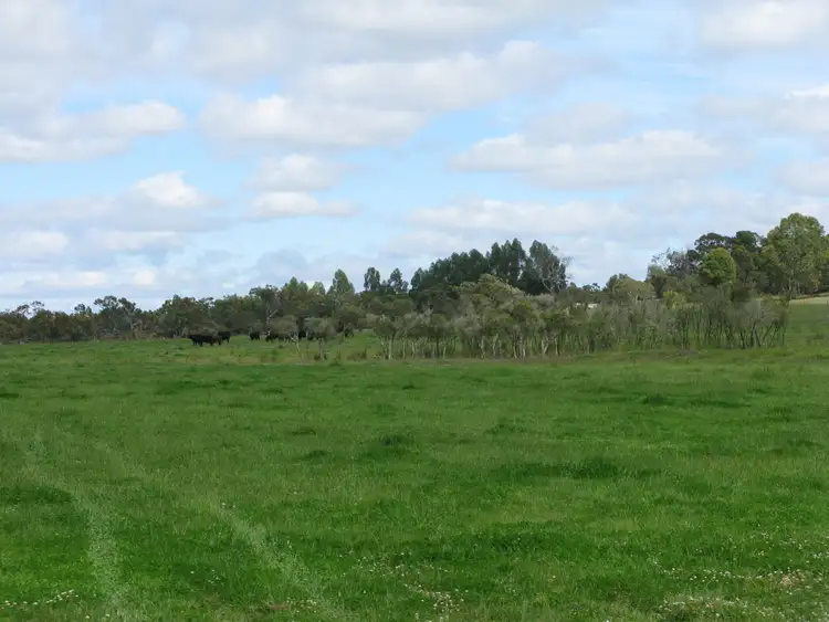 Fourth view of Homely rural property listing, 494 Spencer Rd, Narrikup WA 6326