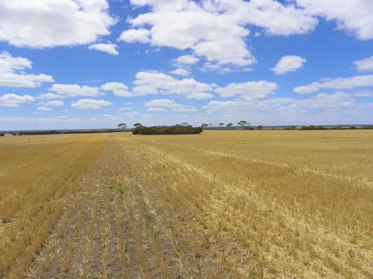 Second view of Homely rural property listing, Lot 1761 Needilup Road, Pingrup WA 6343