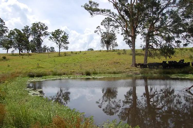Sixth view of Homely rural property listing, Lot 4 Clarence Way, SANDILANDS via, Mallanganee NSW 2469