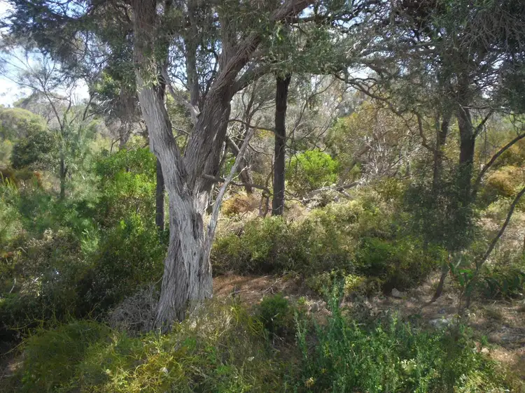 Fourth view of Homely land listing, 21 Endeavour Court, Coffin Bay SA 5607