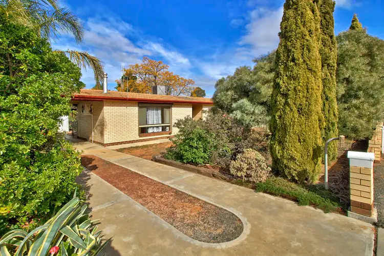 Main view of Homely house listing, 127 Bookpurnong Road, Loxton SA 5333