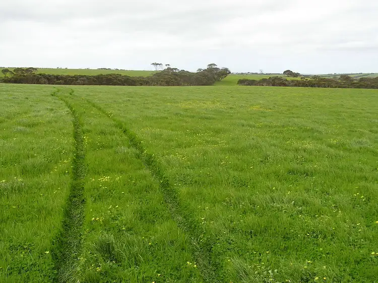 Second view of Homely rural property listing, Lot 1, 457 Elsegood Rd, Haines SA 5223