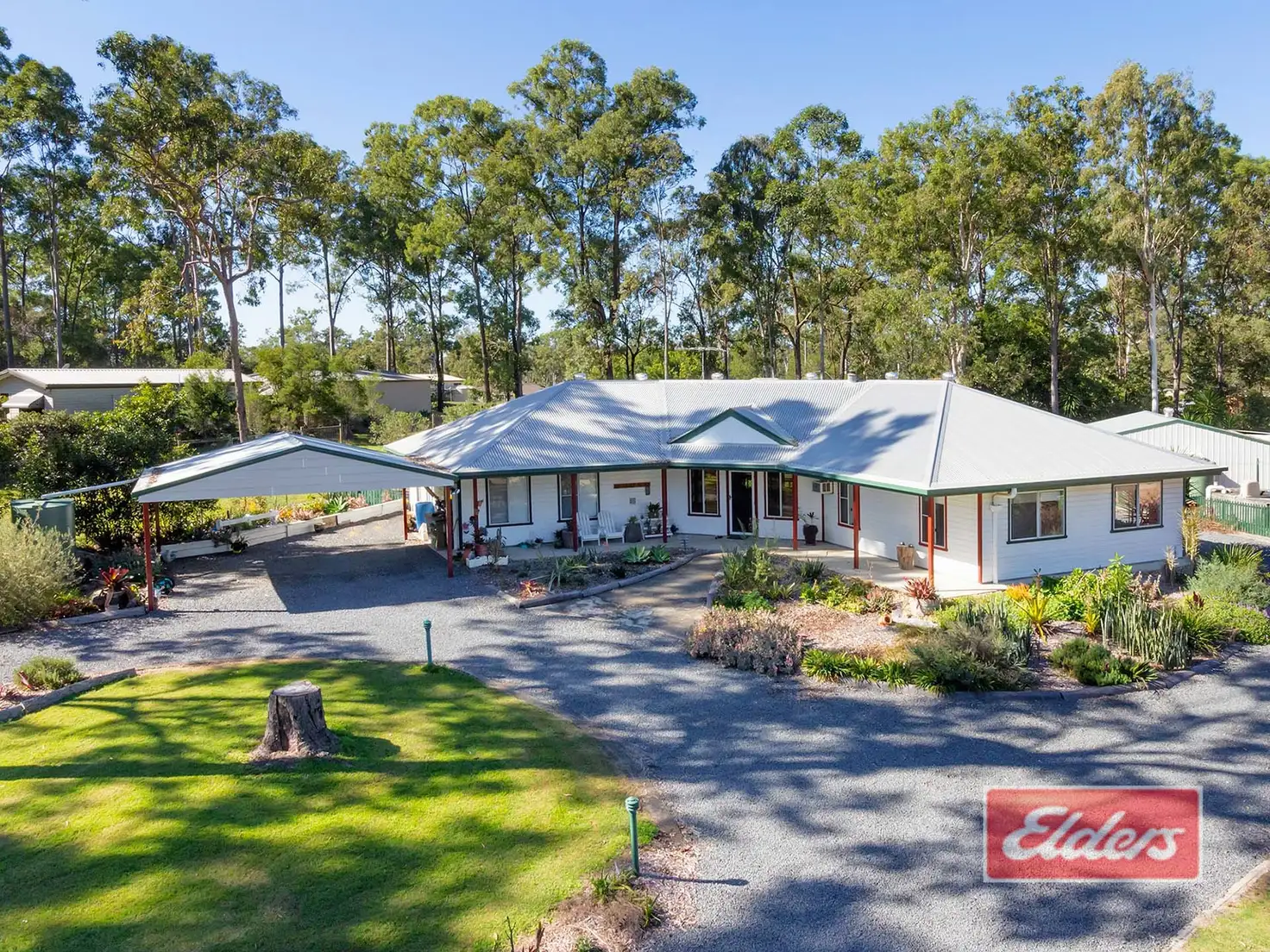 Main view of Homely house listing, 55 Drover Crescent, Jimboomba QLD 4280