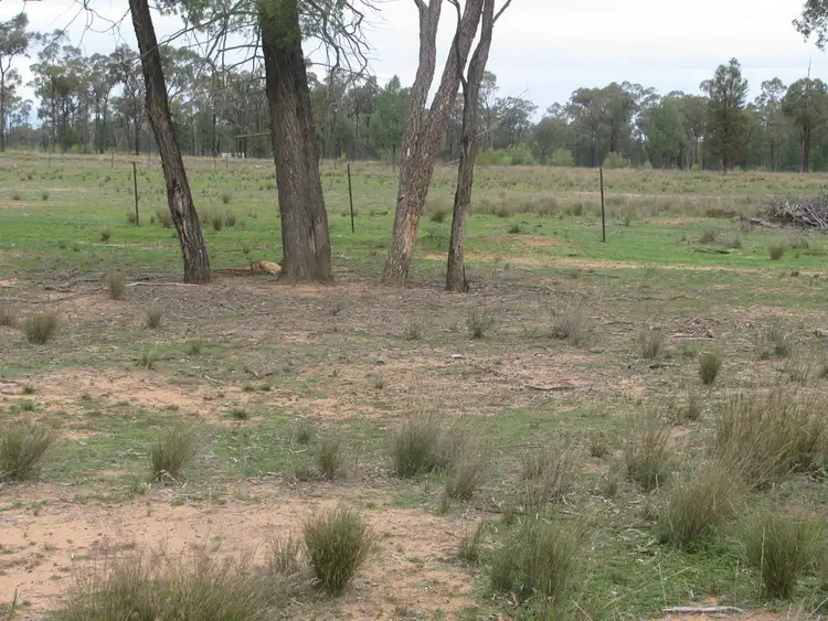 Sixth view of Homely land listing, 375 Tuppiari Rd, Jacks Creek NSW 2390