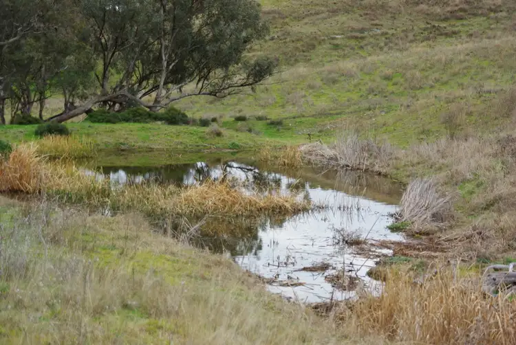 Main view of Homely rural property listing, Lot 246 Wallaroi Road, Stuart Town NSW 2820