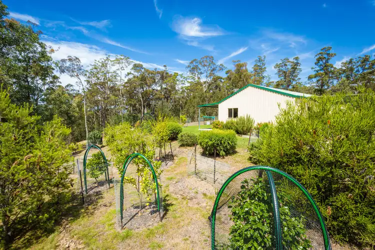 Third view of Homely house listing, 2250 PRINCES HIGHWAY, Yellow Pinch NSW 2548