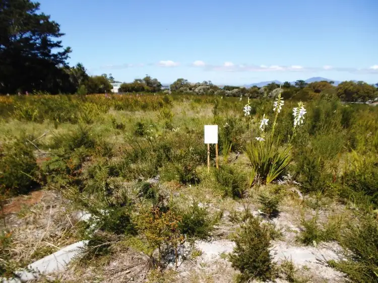 Fourth view of Homely land listing, 5 Barr Street, Lady Barron, Flinders Island TAS 7255