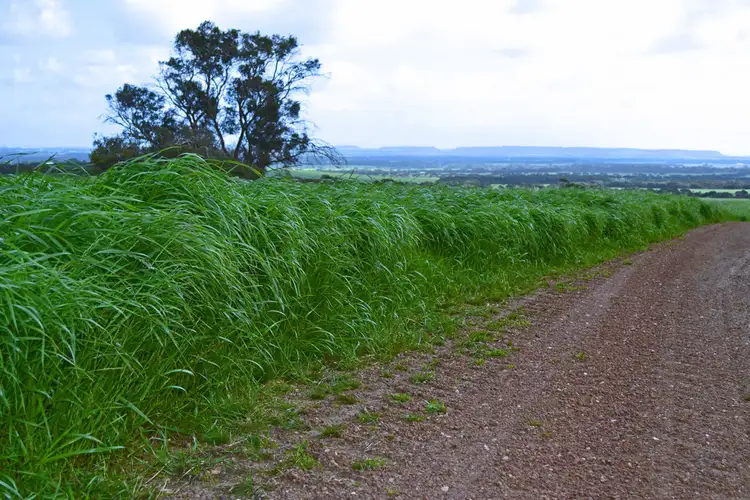 Second view of Homely rural property listing, Section 30 Starrs Road, Macgillivray SA 5223