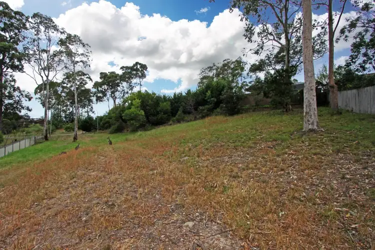 Fifth view of Homely land listing, 14 Bellbird Close, Surfside NSW 2536