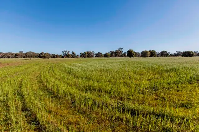 Second view of Homely rural property listing, Lot 1634/2010 Nolan Rd, Muchea WA 6501