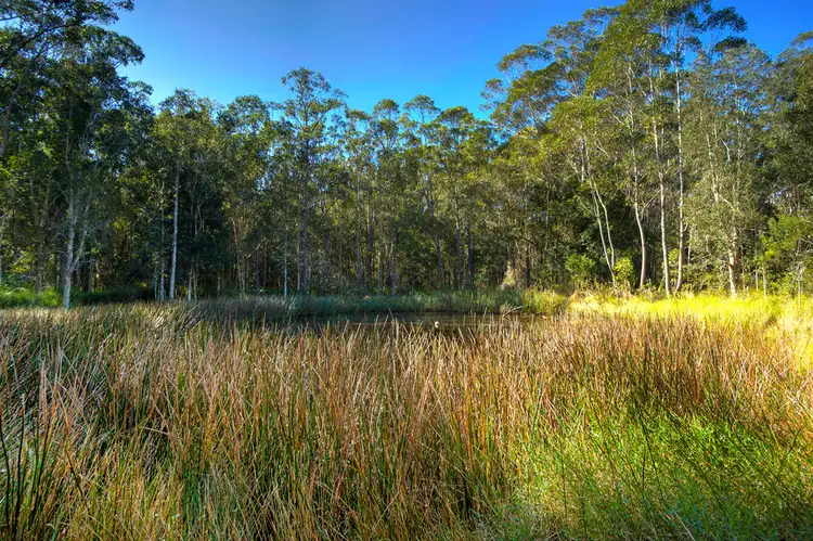 Sixth view of Homely rural property listing, 7950 Pacific Highway, Urunga NSW 2455