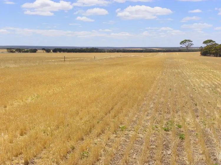 Third view of Homely rural property listing, Lot 1761 Needilup Road, Pingrup WA 6343