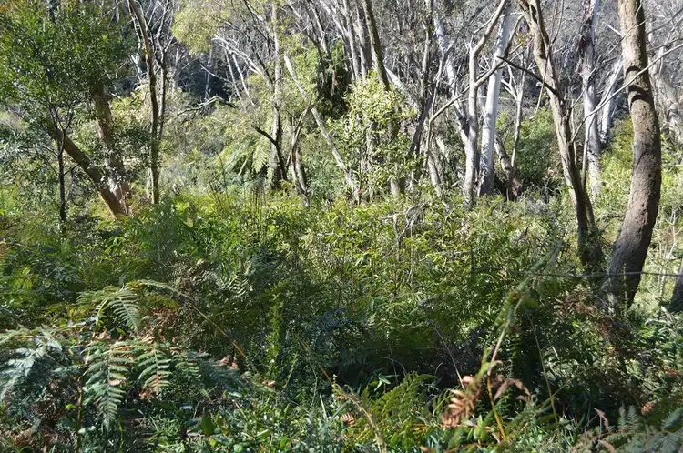 Seventh view of Homely land listing, 10 Railway Parade, Katoomba NSW 2780