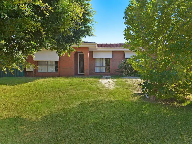 53 Maguire Avenue, Beechboro WA 6063