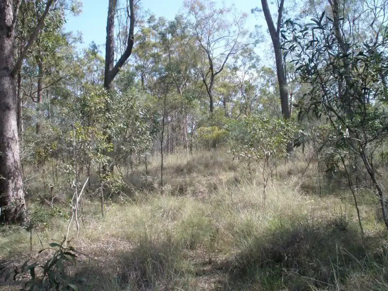 Main view of Homely land listing, 102 McQuire Road, Wattle Camp QLD 4615