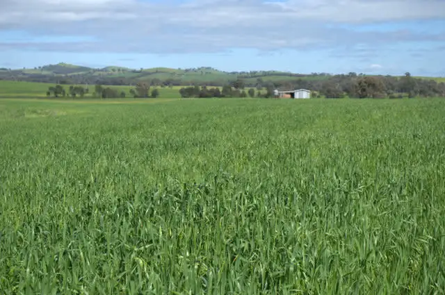 Sixth view of Homely rural property listing, Address available on request