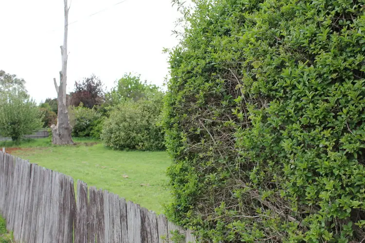 Seventh view of Homely land listing, 43 Taylor Street, Westbury TAS 7303