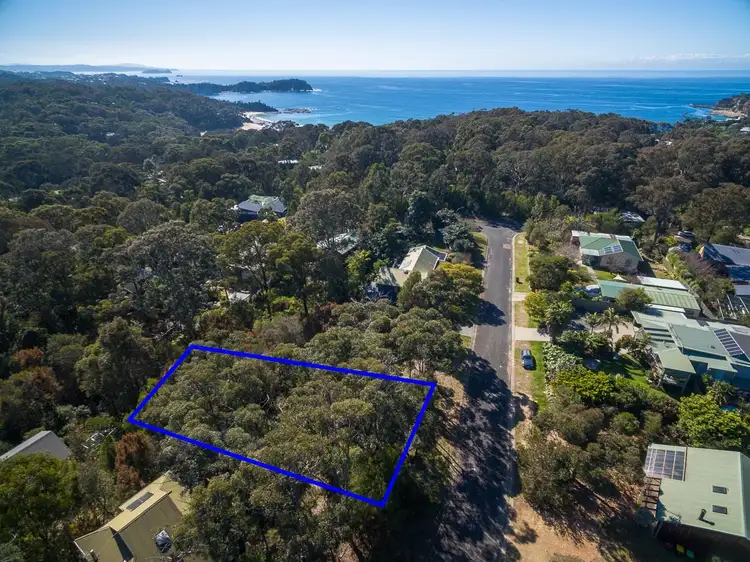 Third view of Homely land listing, 16 Tallwood Crescent, Rosedale NSW 2536