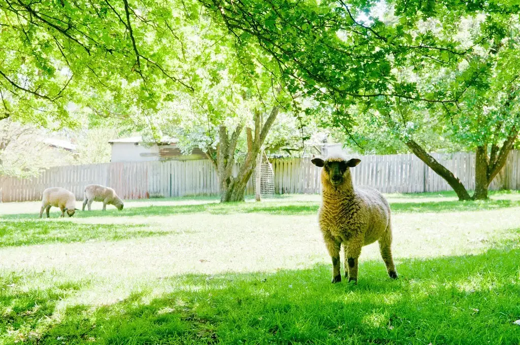 Main view of Homely land listing, 26 Westbury Place, Deloraine TAS 7304