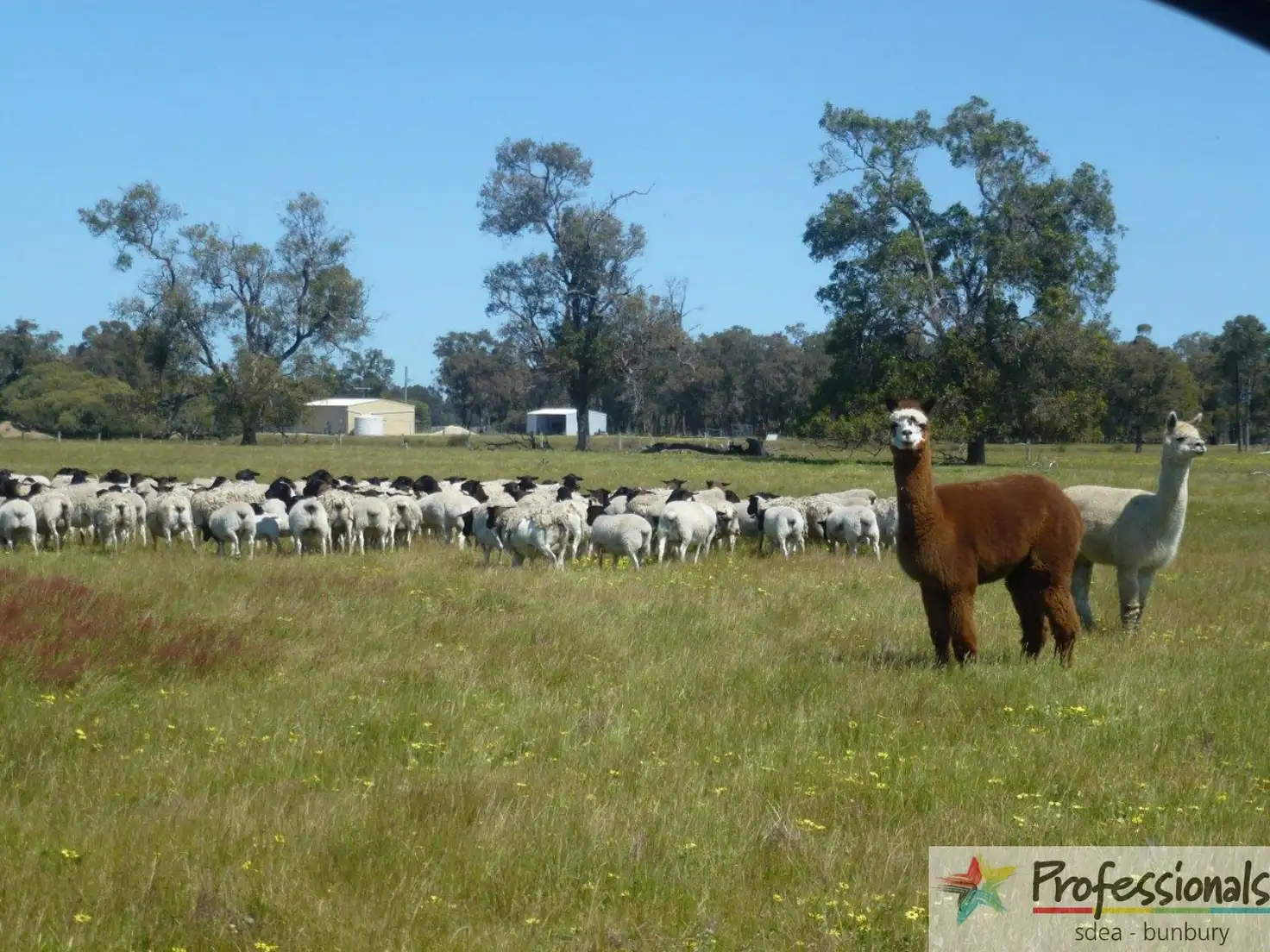 Main view of Homely rural property listing, 134 Dutchman Road, West Coolup WA 6214