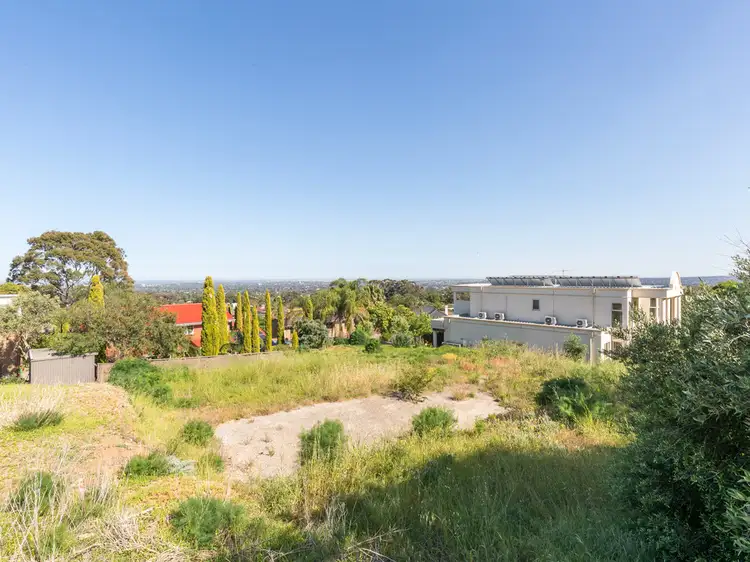 11 Coach Road, Rosslyn Park SA 5072