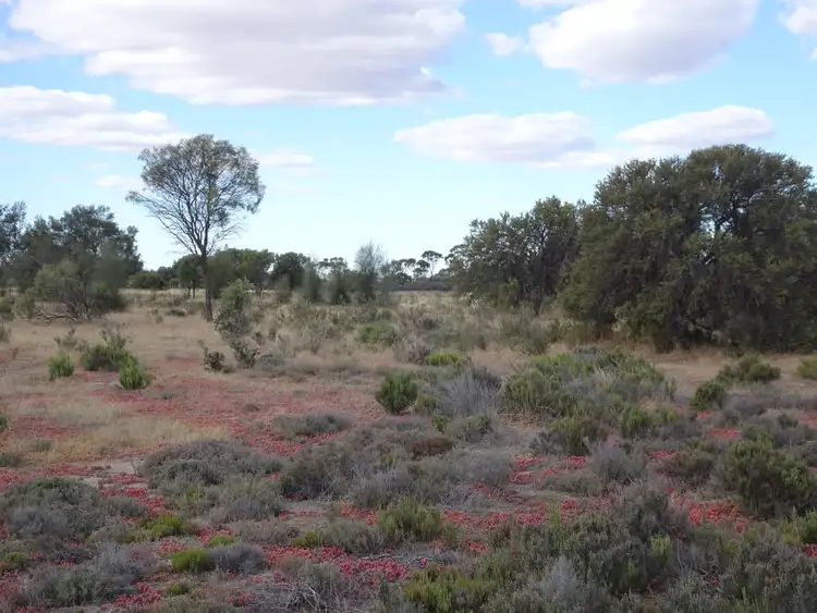 Fifth view of Homely rural property listing, 649 Bullock Hills Road, Wagin WA 6315