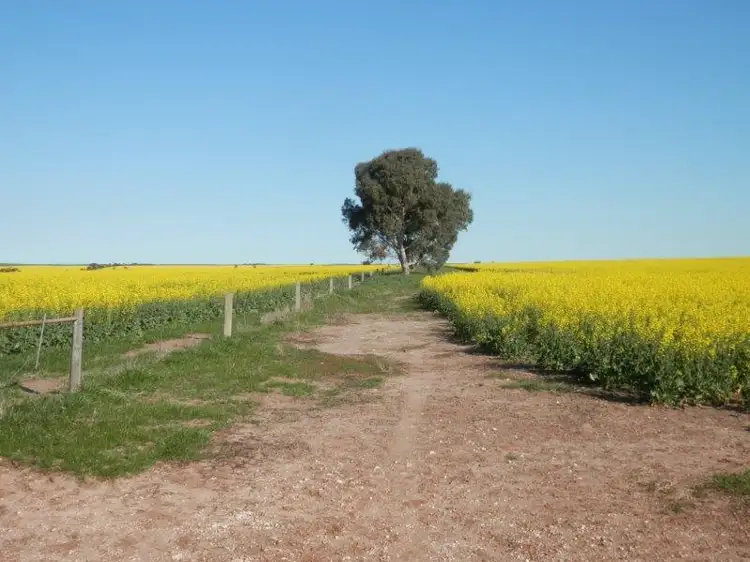Second view of Homely rural property listing, 1 Minlaton Road, Minlaton SA 5575