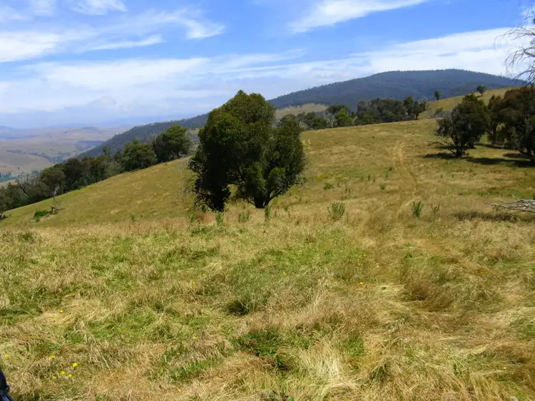 Sixth view of Homely rural property listing, 1118 Omeo Highway, Omeo VIC 3898