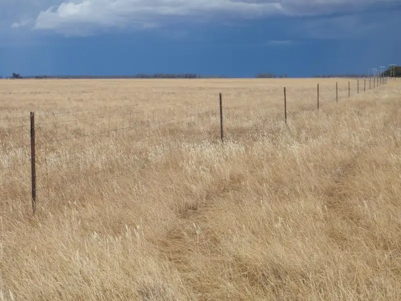 Main view of Homely rural property listing, "Purapooka" Southdown Road, Deniliquin NSW 2710