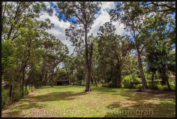 Seventh view of Homely house listing, 11 Greenacre Avenue, Lake Munmorah NSW 2259