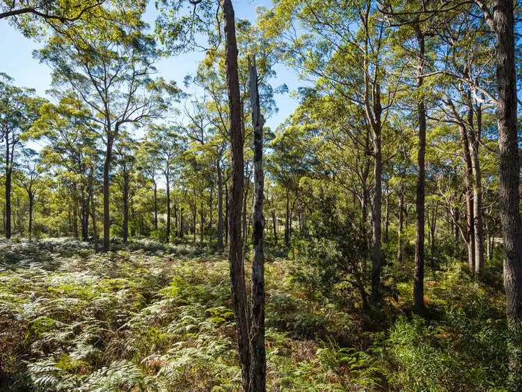 Seventh view of Homely land listing, 3118 Pacific Way, Tura Beach NSW 2548