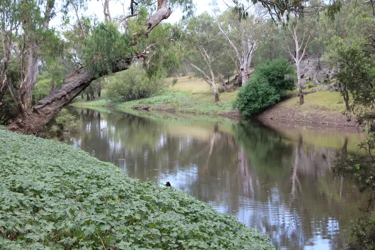 Seventh view of Homely rural property listing, Little Mandoe Bedwell Downs Road, Inverell NSW 2360