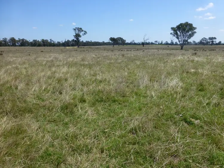 Sixth view of Homely rural property listing, 1040 Boundary Road, Lindenow South VIC 3875