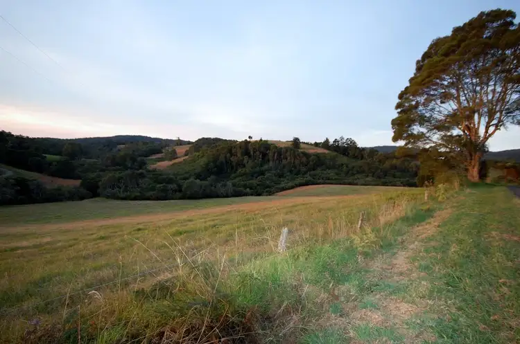 Main view of Homely rural property listing, 397 Slingsbys Road, Dorrigo NSW 2453
